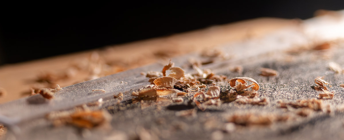 Image de copeaux de bois, menuiserie, Erebia Luminaires