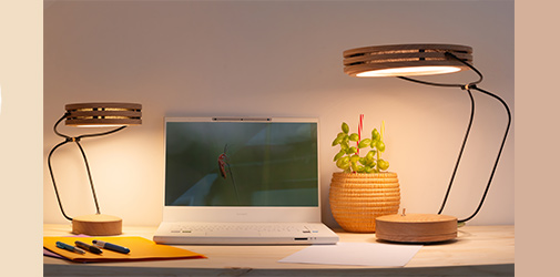 Lampes Pemelène d' Erebia Luminaires de chaque côté d'un ordinateur