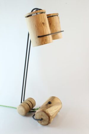 Cocon#2  004  Poirier