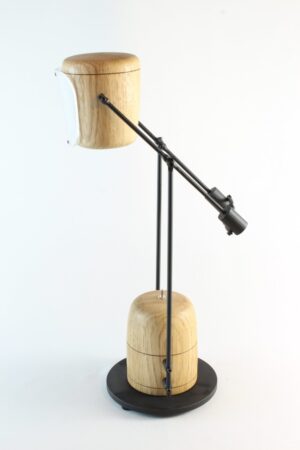 Alternative view of Hyténa # 1  001 Chêne